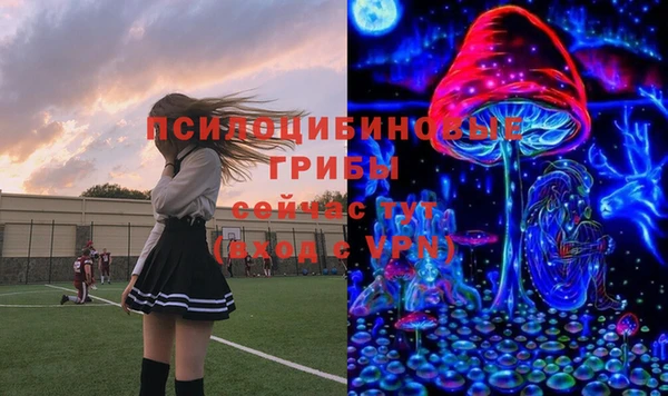 apvp Аркадак
