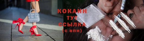 apvp Аркадак