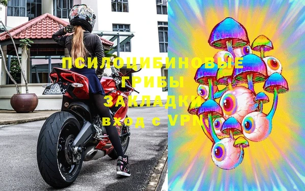 apvp Аркадак