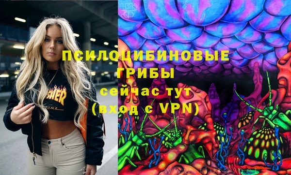 apvp Аркадак